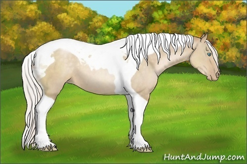 Horse Color:Silver Smoky Grullo Pearl Tobiano