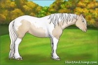 Horse Color:Silver Smoky Grullo Pearl Tobiano 