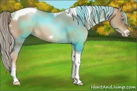 Horse Color:Chocolate Palomino Pearl Tobiano Frame 