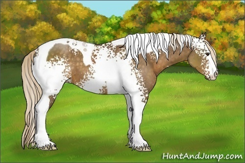 Horse Color:White Spotted Chocolate Palomino Tobiano