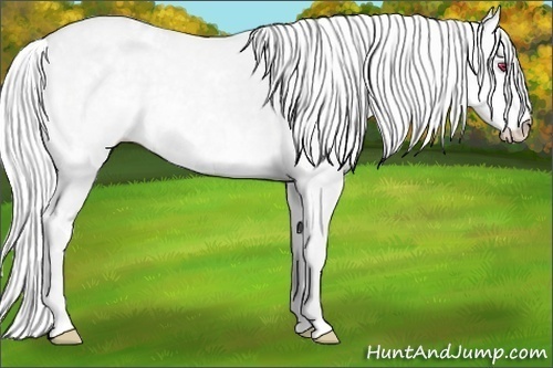 Horse Color:White Spotted Silver Smoky Creme Chinchilla Dun