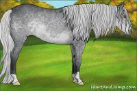 Horse Color:Silver Black Chinchilla 