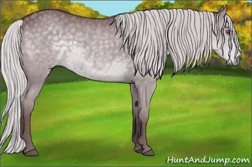 Horse Color:Chocolate Silver Grullo Chinchilla