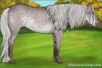 Horse Color:Chocolate Silver Grullo Chinchilla