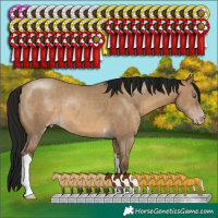 Horse Color:Gray Sable Champagne Dun Sabino Tobiano