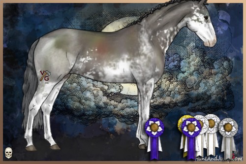 Horse Color:Grullo Sabino 