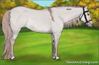 Horse Color:Platinum Red Dun 