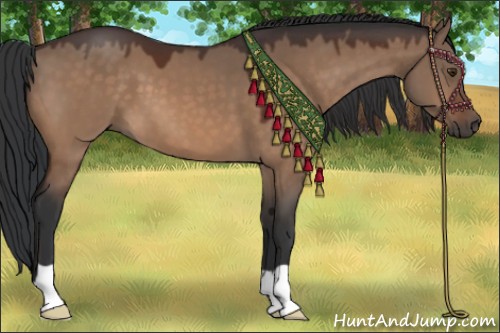 Horse Color:Brown Dun 