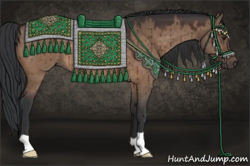 Horse Color:Brown Dun 