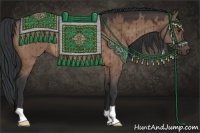Horse Color:Brown Dun 