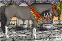 Horse Color:Grullo Brindle 