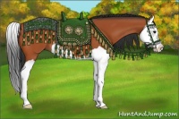 Horse Color:Bay Splash 