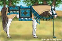 Horse Color:Buckskin Dun Sabino Splash