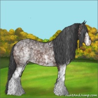 Horse Color:White Spotted Brown Varnish 