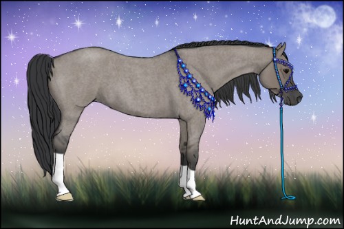 Horse Color:Grullo Roan 