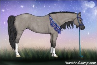 Horse Color:Grullo Roan