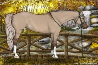 Horse Color:Silver Brown Dun