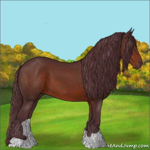 Horse Color:Chocolate Brown 