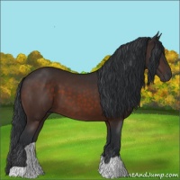Horse Color:Brown 