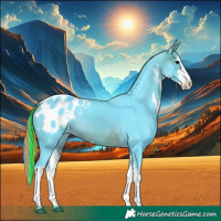 Horse Color:Painted Watercolor White Spotted Brown Blanket Rabicano