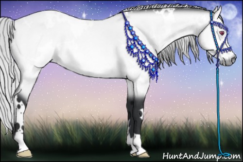 Horse Color:White Spotted Silver Bay Chinchilla 