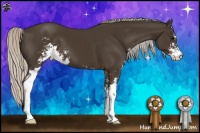 Horse Color:Silver Smoky Black Sabino 