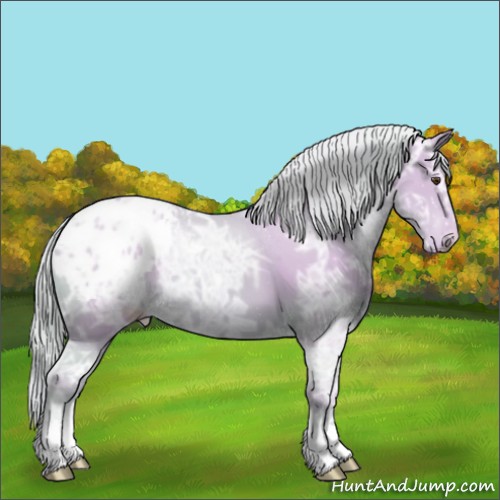 Horse Color:Watercolor Palomino Ice Appaloosa 