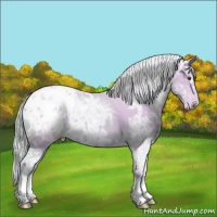 Horse Color:Watercolor Palomino Ice Appaloosa 