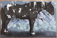 Horse Color:White Spotted Smoky Black Varnish 