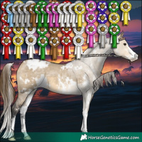 Horse Color:White Spotted Buckskin Dun Sabino Blanket 