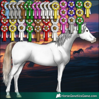Horse Color:White Spotted Buckskin Dun Sabino Appaloosa 
