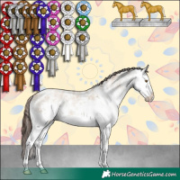 Horse Color:White Spotted Classic Champagne Dun Sabino Splash Rabicano