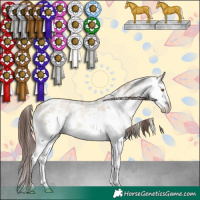 Horse Color:White Spotted Classic Champagne Dun Sabino Splash Rabicano 
