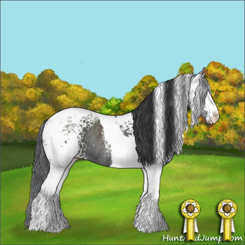 Horse Color:White Spotted Black Tobiano Rabicano