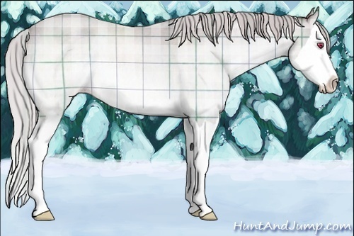 Horse Color:Plaid  Chocolate Silver Sable Champagne Chinchilla Roan Splash 