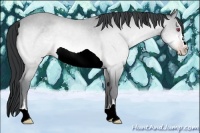 Horse Color:Sable Champagne Chinchilla Sabino 