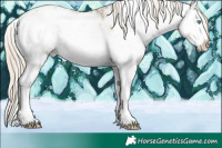 Horse Color:White Spotted Chocolate Palomino Ice Sabino Splash Blanket Rabicano 