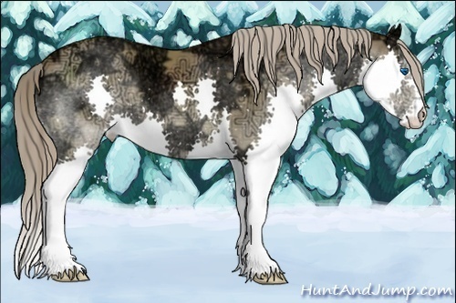 Horse Color:Chocolate Palomino Ice Splash 