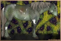 Horse Color:White Spotted Chocolate Palomino 