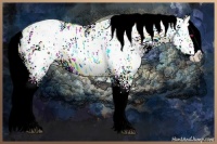 Horse Color:Liver Chestnut Chinchilla Ice Splash 