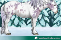 Horse Color:Watercolor Liver Chestnut Mushroom Sabino Splash Tobiano Appaloosa 