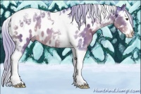Horse Color:Watercolor Liver Chestnut Sabino Splash Tobiano Appaloosa 