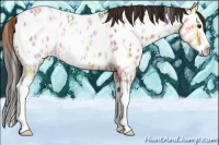 Horse Color:Liver Red Ice Roan Splash Appaloosa 