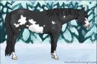 Horse Color:Black Frame 