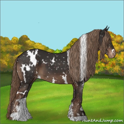 Horse Color:White Spotted Liver Chestnut Sabino Snowflake Varnish