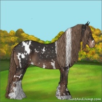 Horse Color:White Spotted Liver Chestnut Sabino Snowflake Varnish 