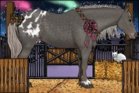 Horse Color:Silver Black Varnish 