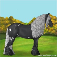 Horse Color:White Spotted Silver Black Chinchilla 