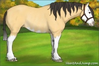 Horse Color:Buckskin Roan Splash Rabicano 