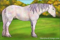 Horse Color:Nacre Watercolor Silver Classic Champagne Ice 
